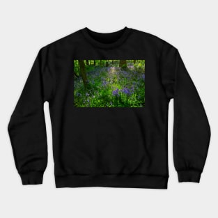 Evening Light in the Durham Bluebell Wood Crewneck Sweatshirt